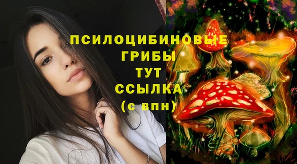 синтетический гашиш Абдулино