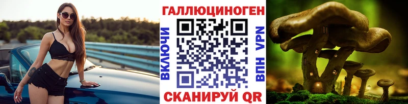 Галлюциногенные грибы Cubensis  ОМГ ОМГ   Людиново 
